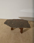 Primitive Orthoceras Fossil Cocktail Table – Devonian Limestone Slab on Wood Trestle Base