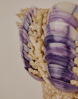 Shell Plant Pot