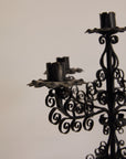 Pair of Iron Candelabras