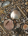 Framed Mosaic Shell Wall Display