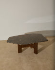 Primitive Orthoceras Fossil Cocktail Table – Devonian Limestone Slab on Wood Trestle Base
