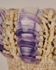 Shell Plant Pot