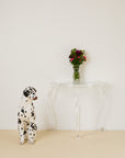 Lifesize Ceramic Dalmatian