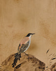 Japanese Folding Screen
