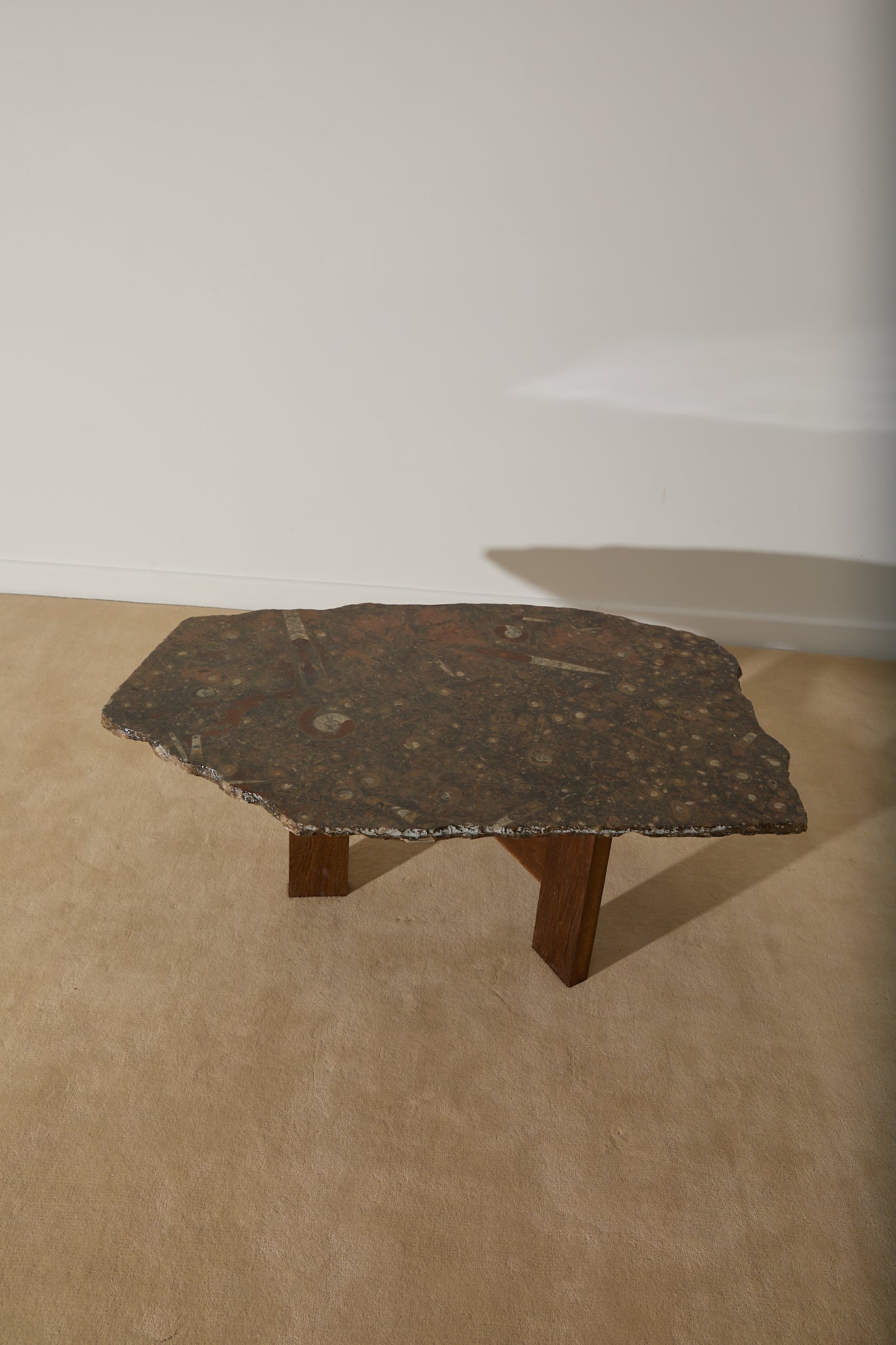 Primitive Orthoceras Fossil Cocktail Table – Devonian Limestone Slab on Wood Trestle Base