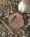 Framed Mosaic Shell Wall Display