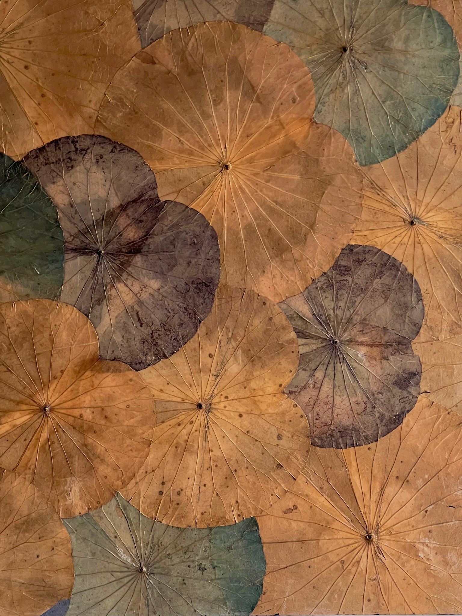 Lotus Leaf Artwork