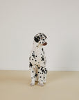 Lifesize Ceramic Dalmatian