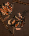 Abstract Organic Composition by Georges Ferrato November 1989