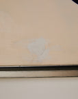 Plum Painting by W. Naca