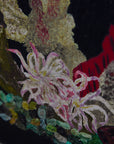 The Seahorses by S. Roussard