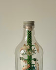 Birds in Bottle American Folk Art