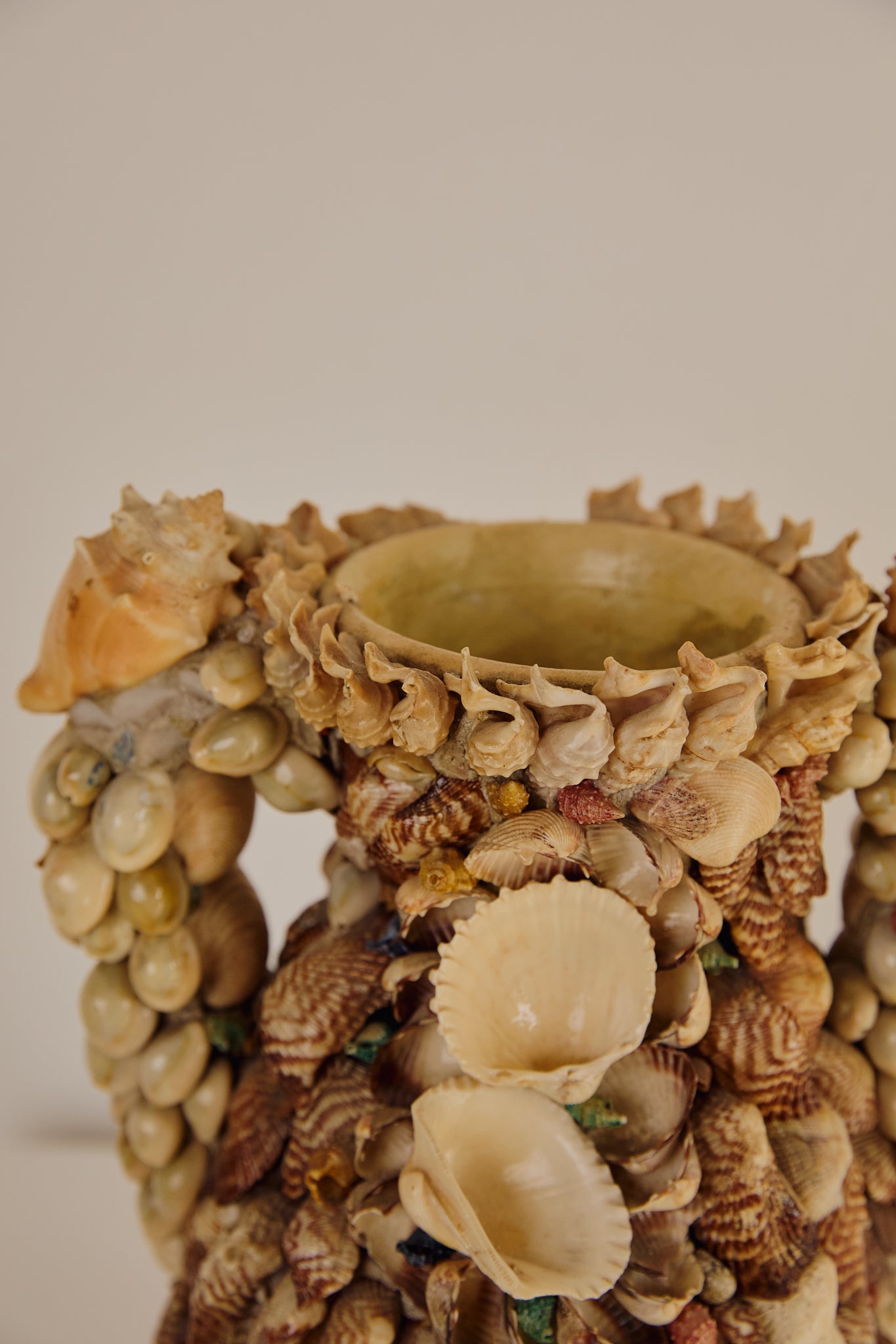 Chunky Shell Vase