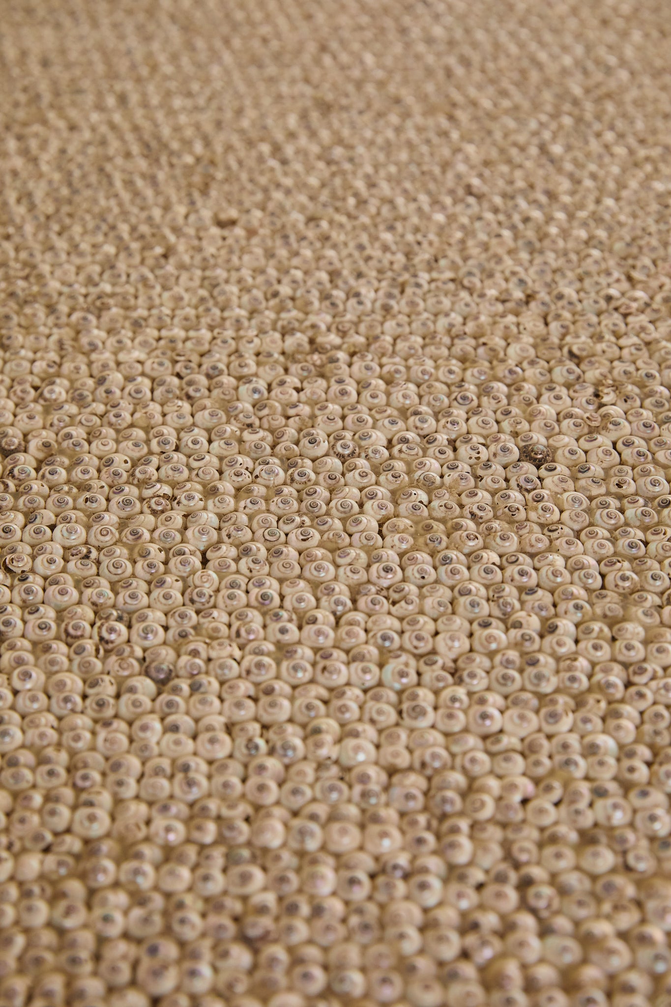 Shell Encrusted Drinks Cabinet