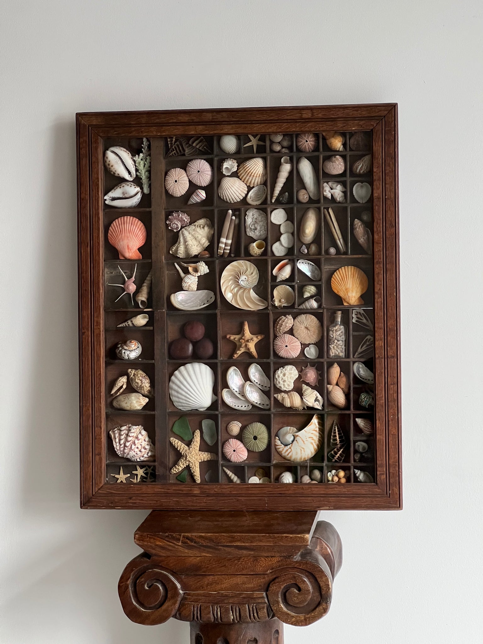 Antique Shell Tray