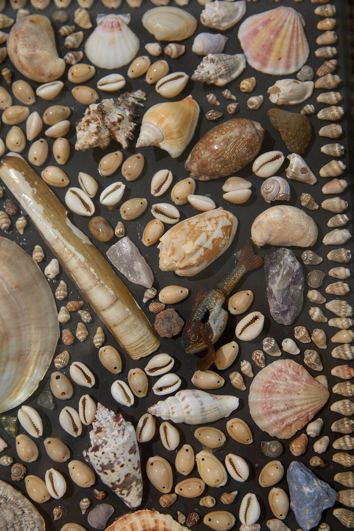 Framed Mosaic Shell Wall Display