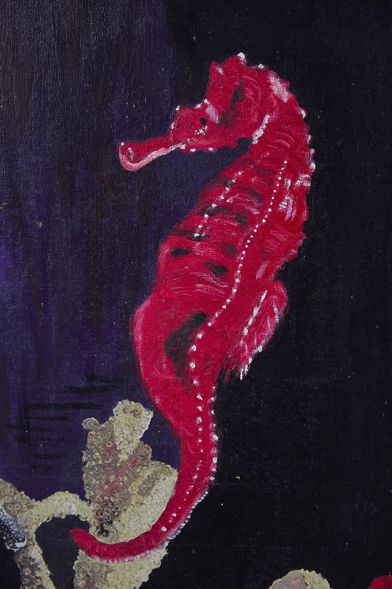 The Seahorses by S. Roussard