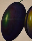 Plum Painting by W. Naca