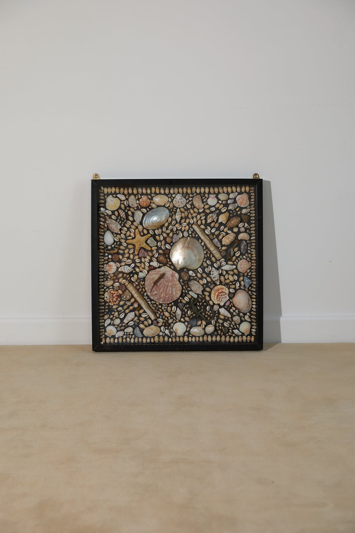 Framed Mosaic Shell Wall Display