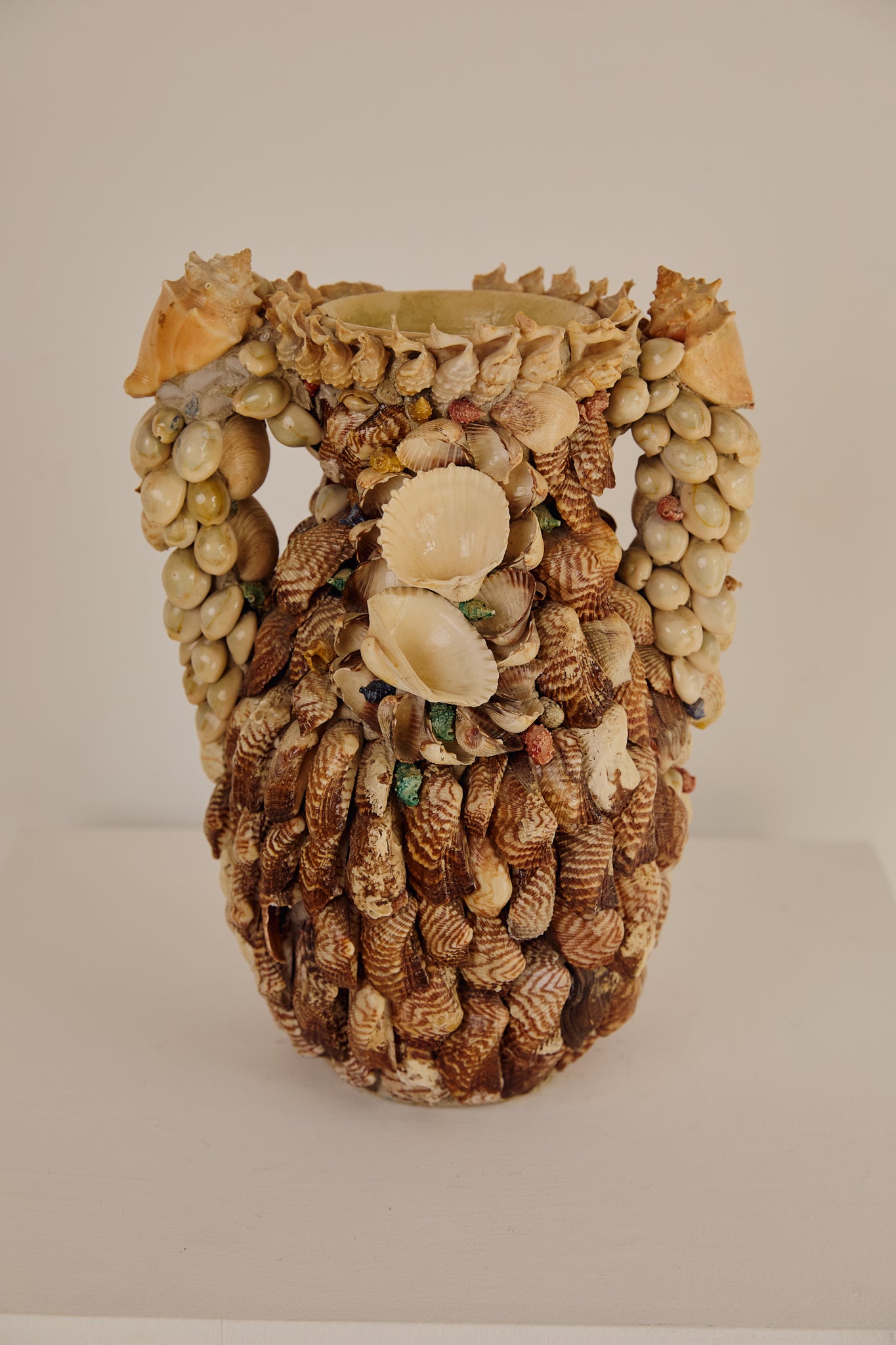 Chunky Shell Vase