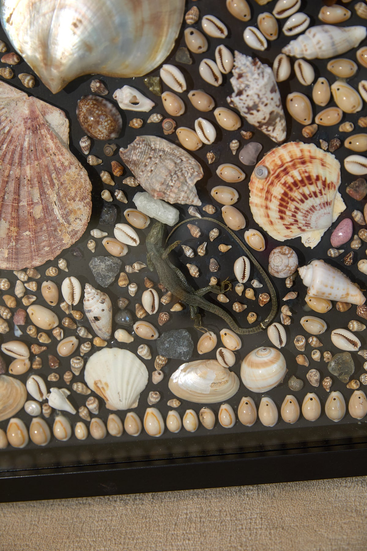 Framed Mosaic Shell Wall Display