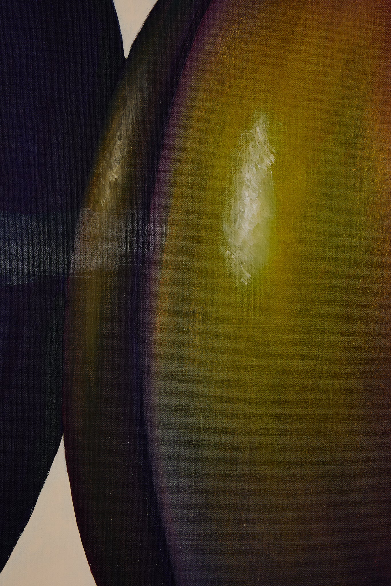 Plum Painting by W. Naca