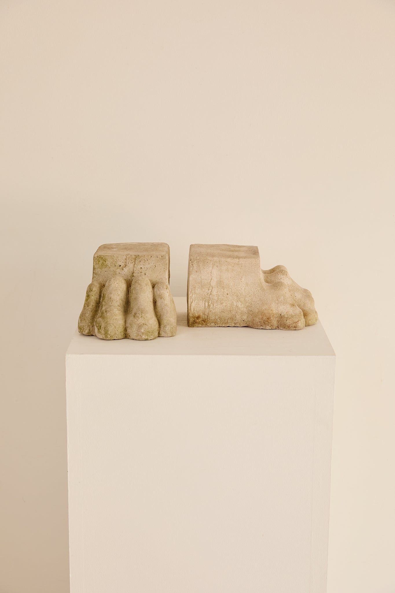 Decorative Pair of Carved Stone Lions Paws